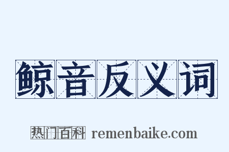 鲸音反义词是什么意思的图片